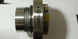 Double Cartridge Mechanical Seals (55 Mm)