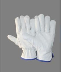 Plain Driving CW Hand Gloves