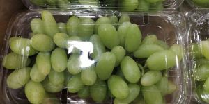 Fresh Grapes