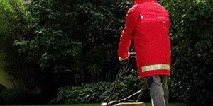 Landscaping Services