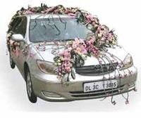 Wedding Car Rental