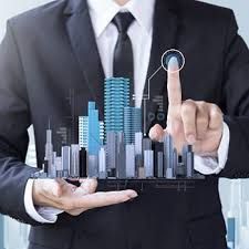 Real Estate Agent