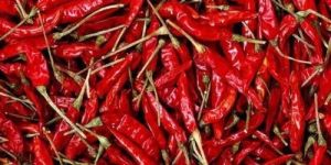 Dried Red Chilli