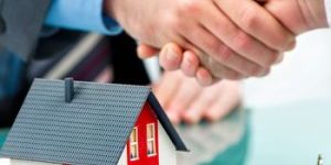 Real Estate Consultant