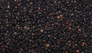 Black Pepper Seeds