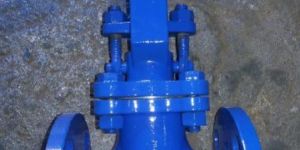 Globe Valve