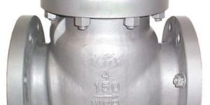 Stainless Steel Swing Check Valves