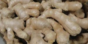 DRY ORGANIC GINGER