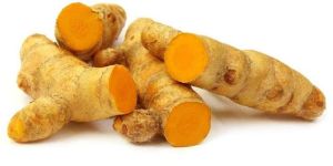 Fresh Organic Haldi