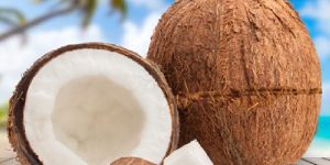 Coconut
