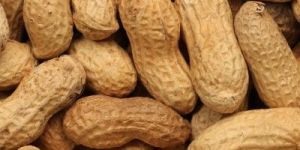 Shelled Groundnuts