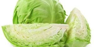 Fresh Cabbage