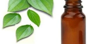 Natural Betel Leaf Essential Oil