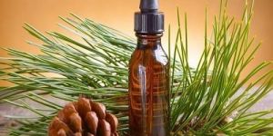 Natural Pine Essential Oil