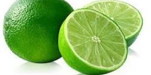 Fresh Lemon