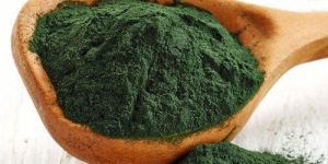 Spirulina Powder