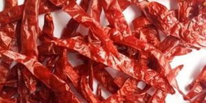 Wrinkled Dry Red Chilli