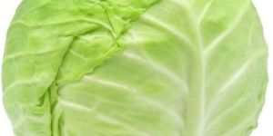 Fresh Cabbage