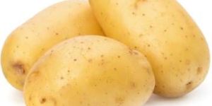 Fresh Potato