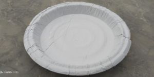 White Paper Plate