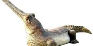 FRP Crocodile Statue