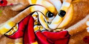 Cartoon Mink Kids Blanket