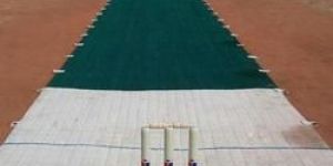 Cricket Coir Mat