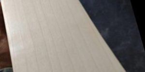 English Willow Cricket Bat