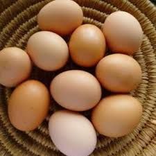 Kadaknath Chicken Eggs