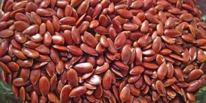 Flax Seeds