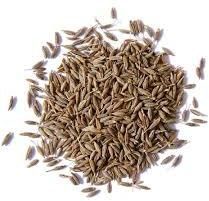 Cumin Seeds