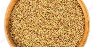 Lucerne Seeds