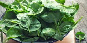 Fresh Spinach Leaves