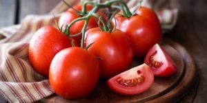 Fresh Tomatoes
