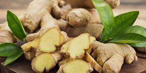 Ginger
