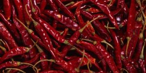 Red Chilli