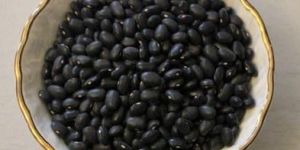Organic Black Kidney Beans