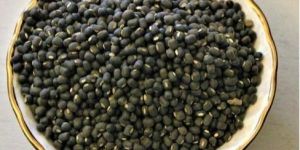 Organic Black Urad Dal