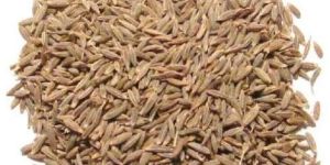 Brown Cumin Seeds