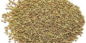 Carom Seeds