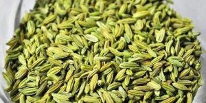 Green Fennel Seeds