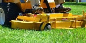 Lawn Maintenance Services