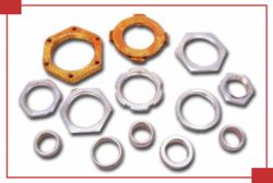 Stainless Steel Nuts