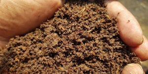 Vermicompost Fertilizer