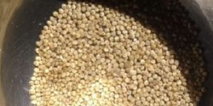 Quinoa