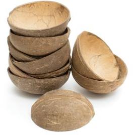 Coconut Shell