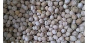 Organic Kabuli Chana