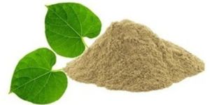 Giloy Powder