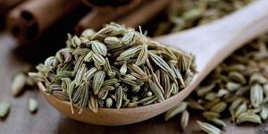 Dried Fennel Seeds