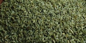 Freekeh